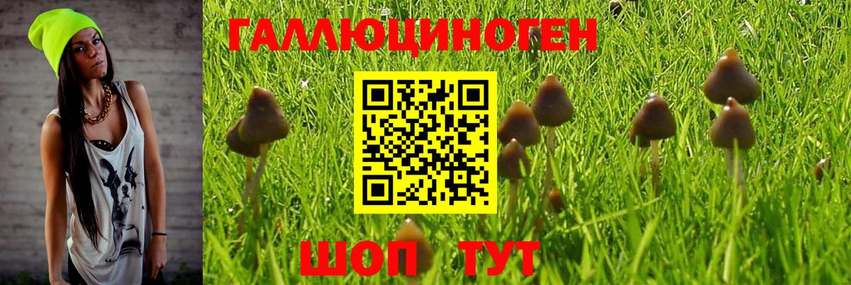 Псилоцибиновые грибы Cubensis  закладки  Дербент  Вход с VPN 